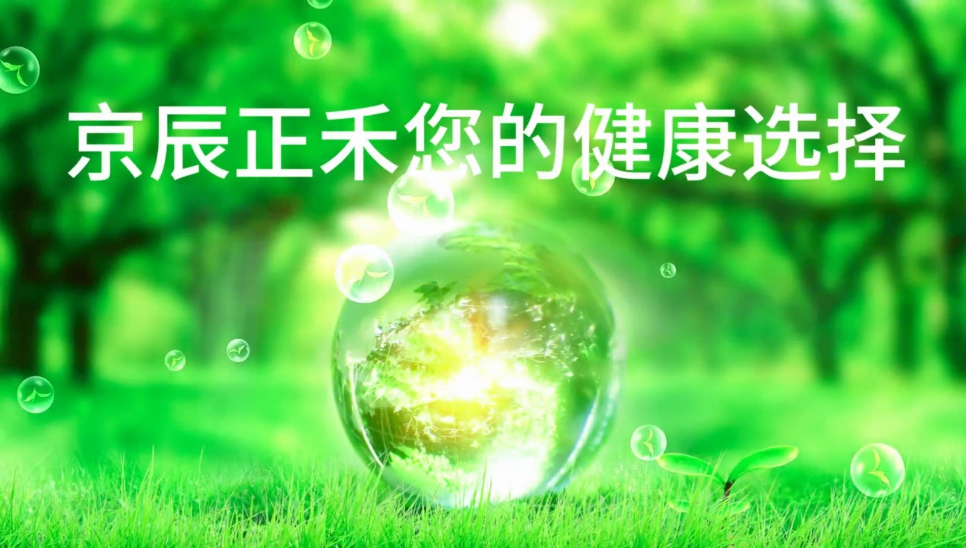 京辰正禾助力乡村振兴，正定创腾种植基地